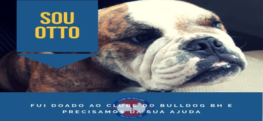 Rifa do Clube do Bulldog BH