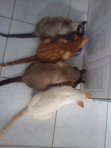 Página da(o) Maria José Dias