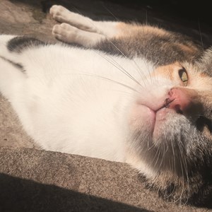 Página da(o) Mayra Roberta