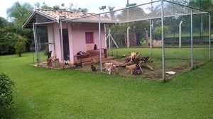 Página da(o) Ana Gisele Pinheiro