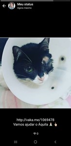 Vaquinha do(a) Áquila 