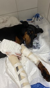 Vaquinha do(a) Kelly