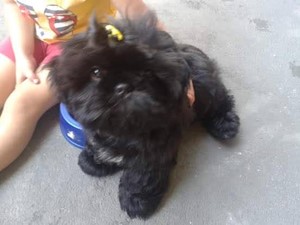 Vaquinha do(a) Billy