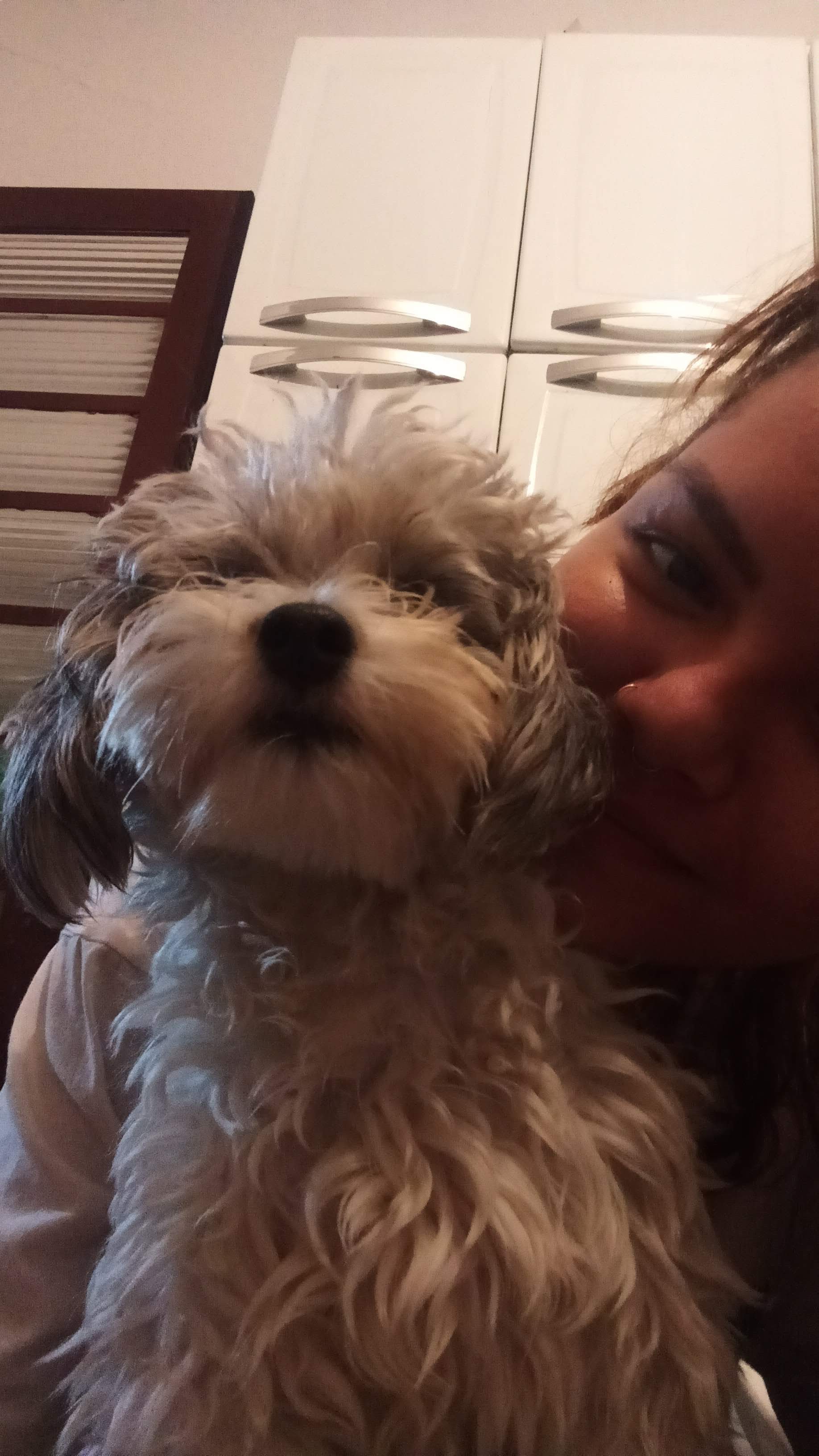 Pet Coletivo da(o) Cadu 