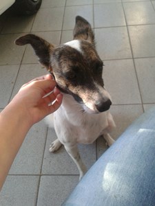 Rifa do(a) Projeto Resgate