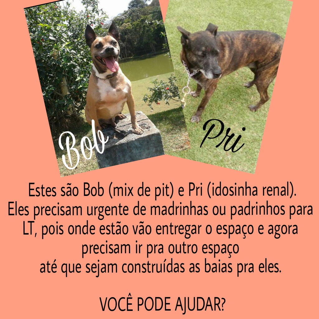 Rifa do(a) /Uploads/Usuarios/Rifas/2018/January/38ca81b3-9af3-e711-80c2-000d3a70598e/5327_PicsArt_010508.08.36.jpg