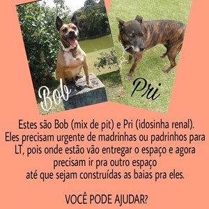 Rifa do(a) Pro e Bob