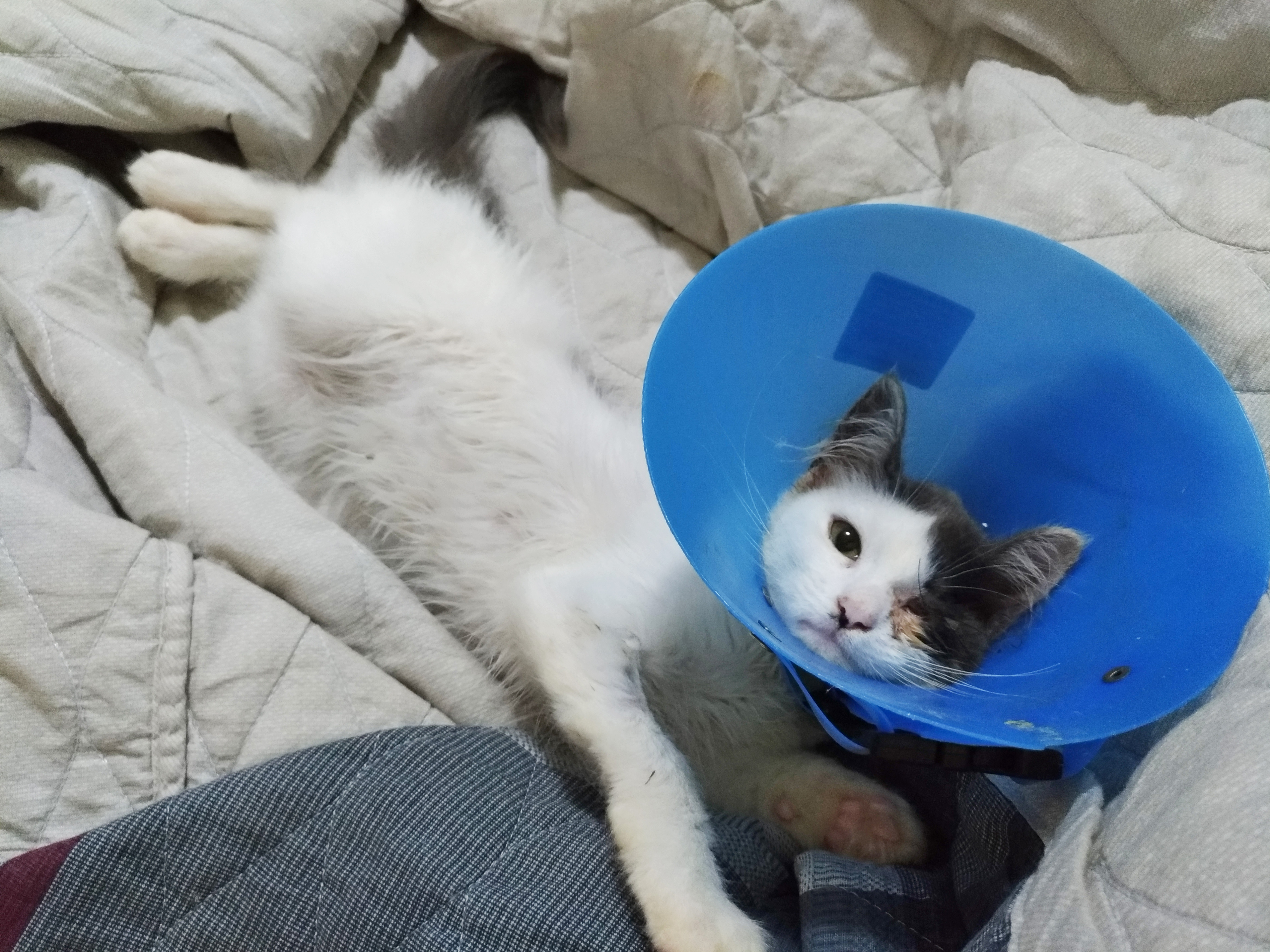 Rifa do(a) /Uploads/Usuarios/Rifas/2018/June/f23d8cb6-8b7a-e811-80c2-000d3a705104/7791_yuffie.jpg