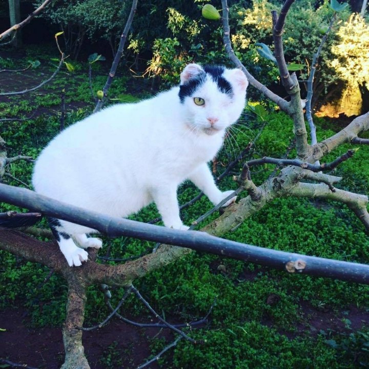 Rifa do(a) /Uploads/Usuarios/Rifas/2018/September/83809504-91bf-e811-af11-000d3a70547b/IMG20180923WA0019.jpg