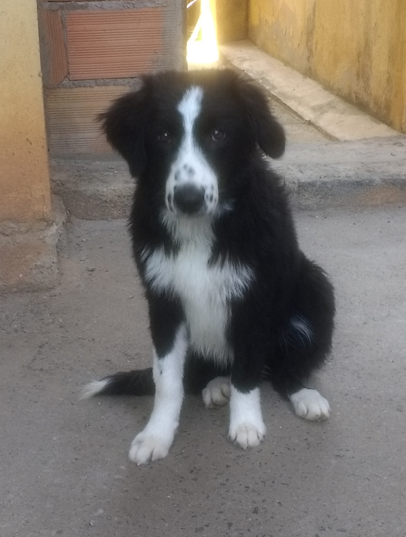 Rifa do(a) /Uploads/Usuarios/Rifas/2018/September/a86b159e-fdaf-e811-bce7-000d3a705143/9410_IMG_20180714_14444521777773.jpg