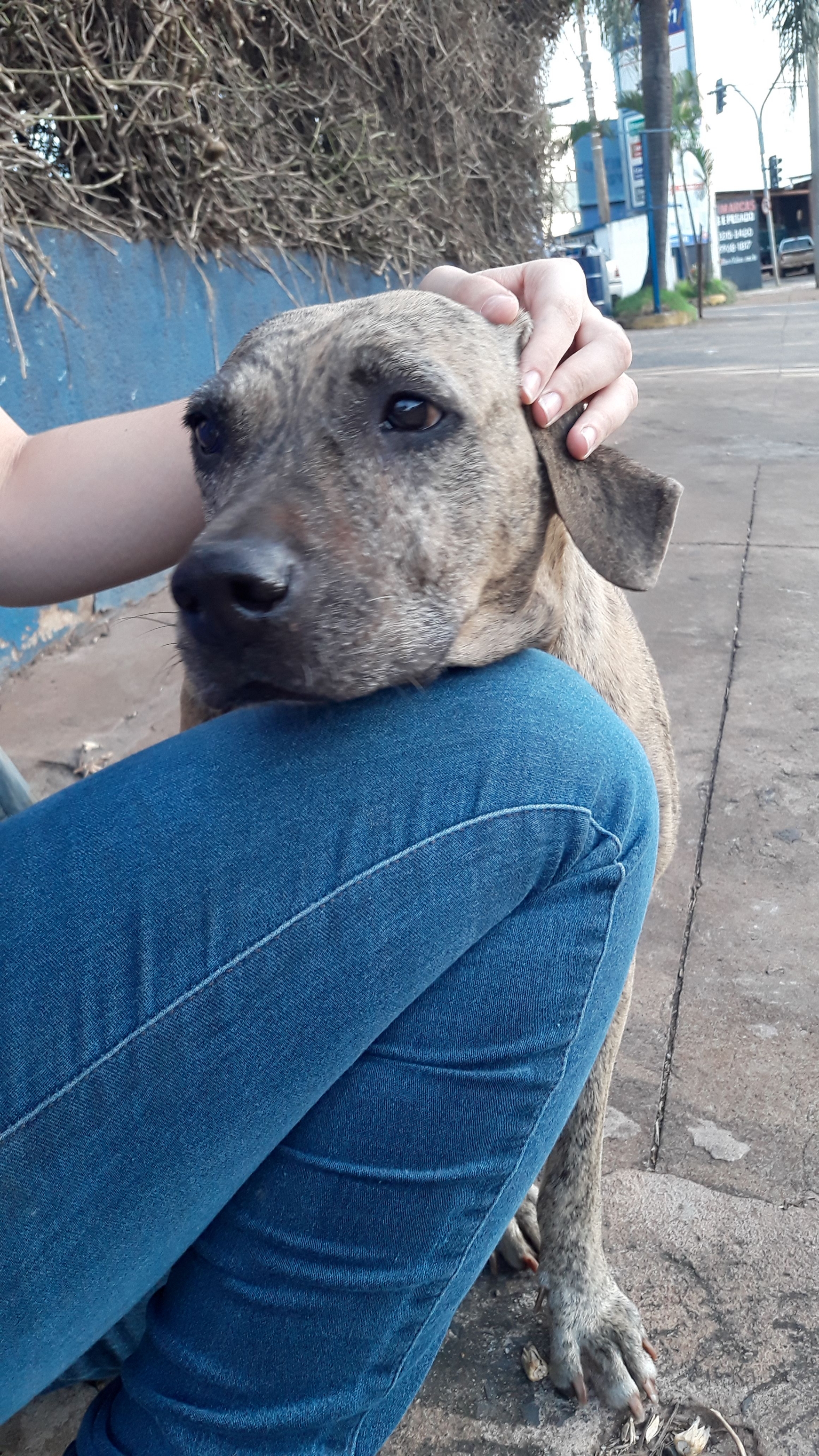 Rifa do(a) /Uploads/Usuarios/Rifas/2019/April/fa66909a-1e5f-e911-b49e-000d3a705a35/IMG20190402WA0015_2.jpeg