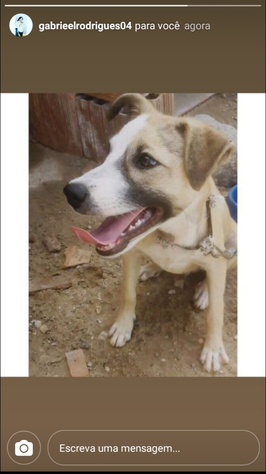 Rifa do(a) /Uploads/Usuarios/Rifas/2019/January/e2905f44-f51c-e911-9f2a-000d3a705b3d/Screenshot_20190120185401_1.png