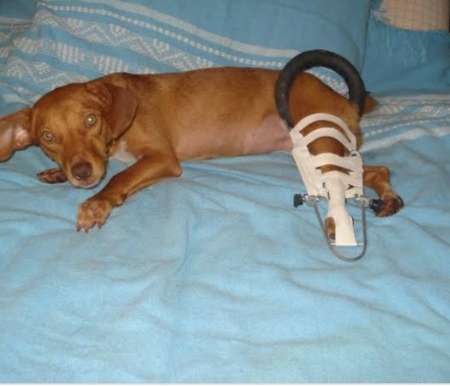 Rifa do(a) /Uploads/Usuarios/Rifas/2019/March/8c4ada0e-0241-e911-b8b3-000d3a705b26/20190307_144909.jpg