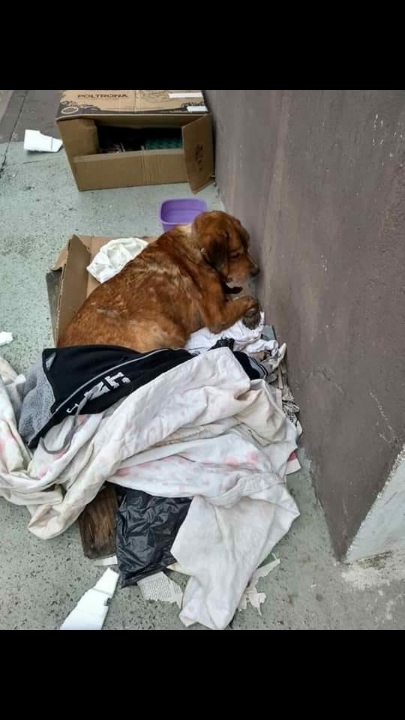 Rifa do(a) /Uploads/Usuarios/Rifas/2019/May/7f22c765-f97e-e911-abc4-000d3a70547b/IMG20190525WA0009_1.jpg