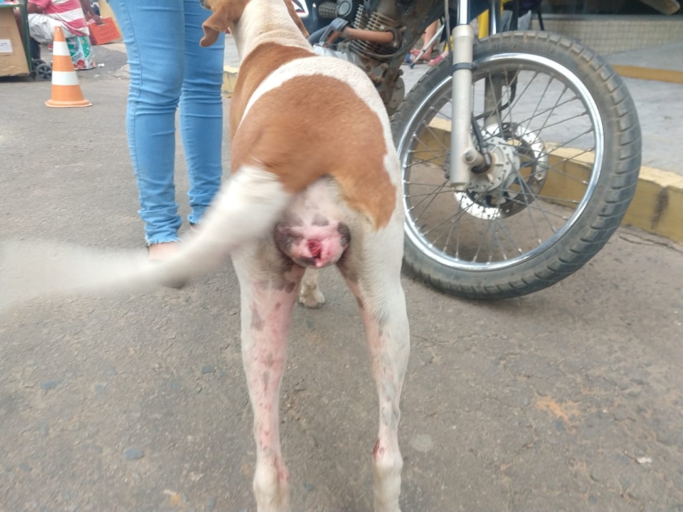 Rifa do(a) /Uploads/Usuarios/Rifas/2019/May/d255bf79-3180-e911-abc4-000d3a70547b/IMG20190525WA0009_4.jpg