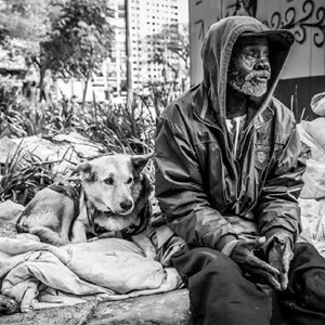 Rifa do(a) ANIMAIS EM SITUAÇÃO DE RUA