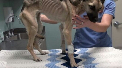 Rifa do(a) /Uploads/Usuarios/Rifas/2019/October/36282521-feed-e911-a94c-b444432b9d76/20191013_101705.png