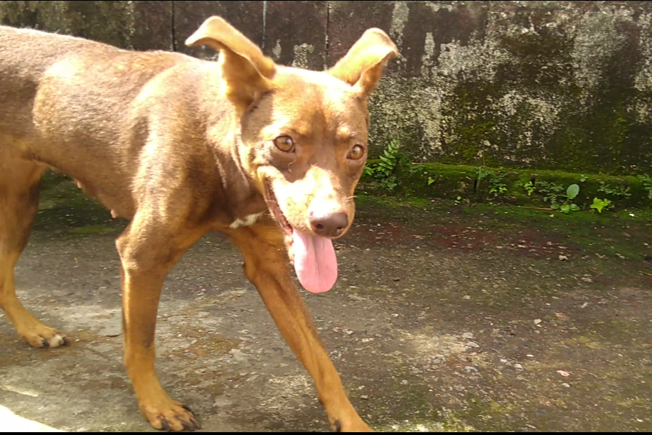 Rifa do(a) /Uploads/Usuarios/Rifas/2020/January/e642626a-1830-ea11-a951-eaceab7c6d26/9956_Screenshot_20191229210857.png