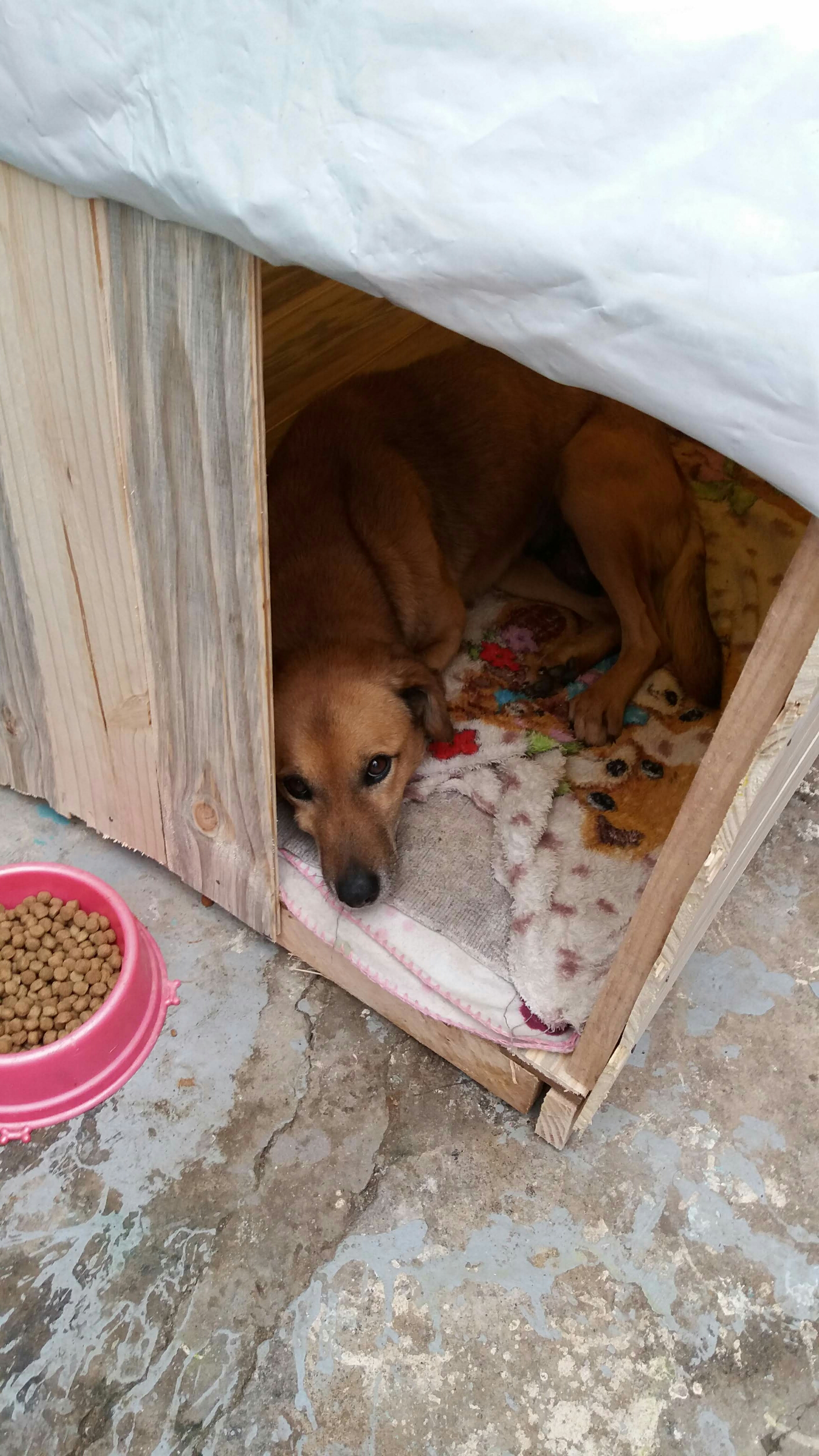 Rifa do(a) /Uploads/Usuarios/Rifas/2020/July/c2d86942-e3c7-ea11-a957-b44203e221a0/20200712_143033_1.jpg