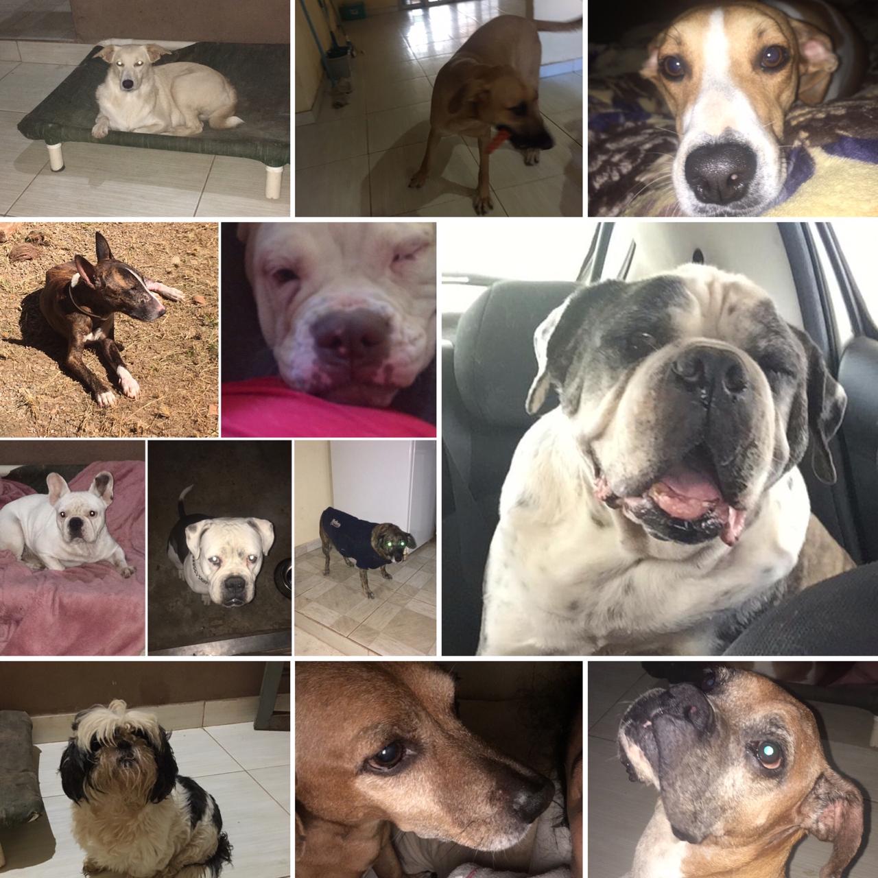 Rifa do(a) /Uploads/Usuarios/Rifas/2020/May/f3d012fb-a697-ea11-a954-cc64526b8fe1/1068_IMG20200516WA0246.jpg