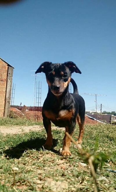 Rifa do(a) /Uploads/Usuarios/Rifas/2020/September/b75f29a7-2aee-ea11-a957-b44203e221a0/FB_IMG_15991678551774305_1.jpg