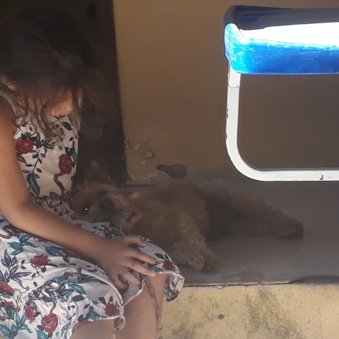 Rifa do(a) /Uploads/Usuarios/Rifas/2021/February/b06612af-2c7a-eb11-a95b-827f98628f2e/20210224_230534_new.jpg