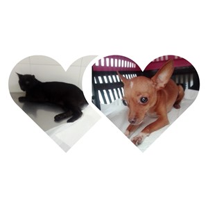 Rifa do(a) Pelezinho 