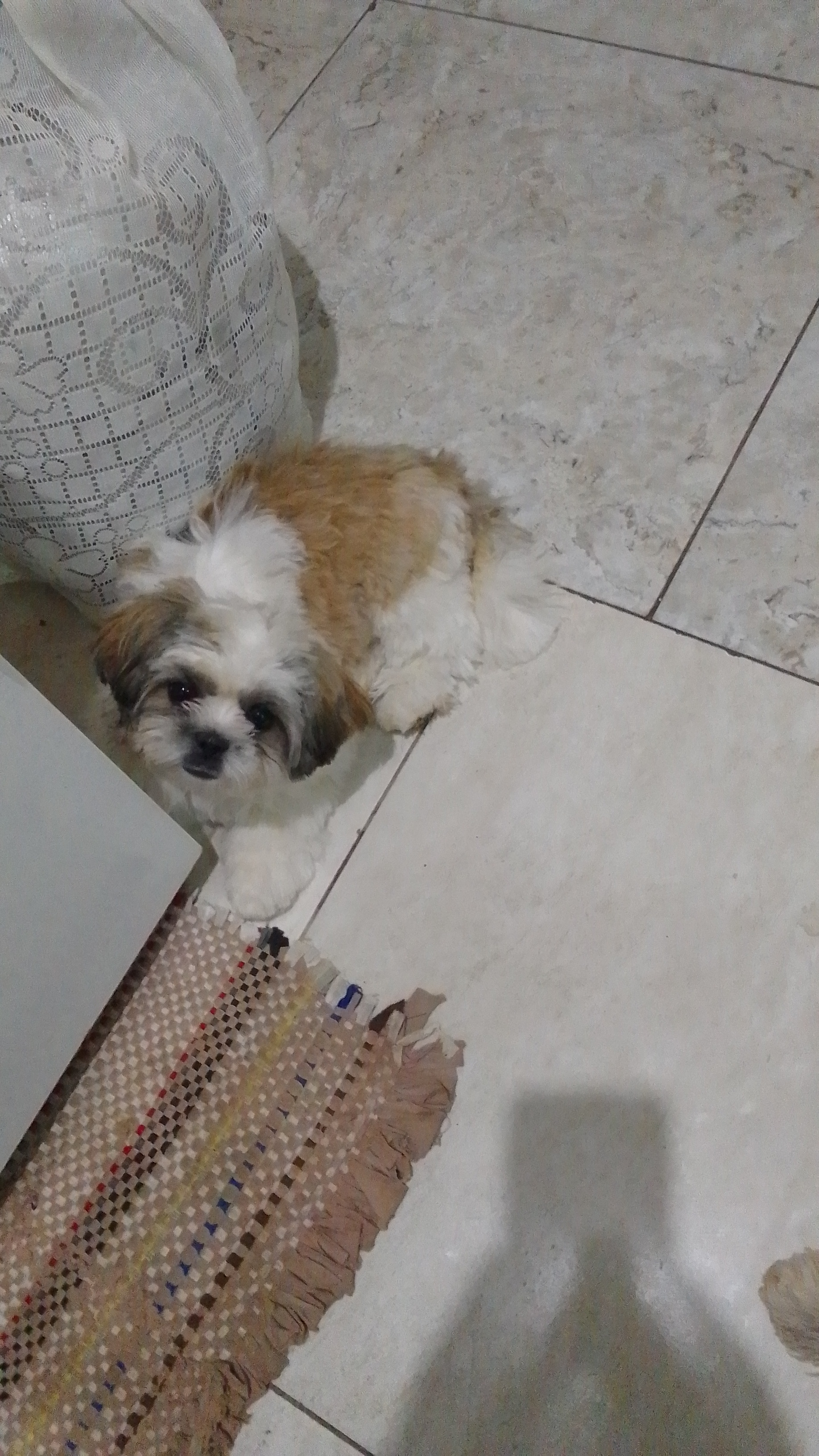 Rifa do(a) /Uploads/Usuarios/Rifas/2024/September/ad2b352b-ed74-ef11-a9b0-d07c58c50fba/3435_IMG20240912WA0344.jpeg