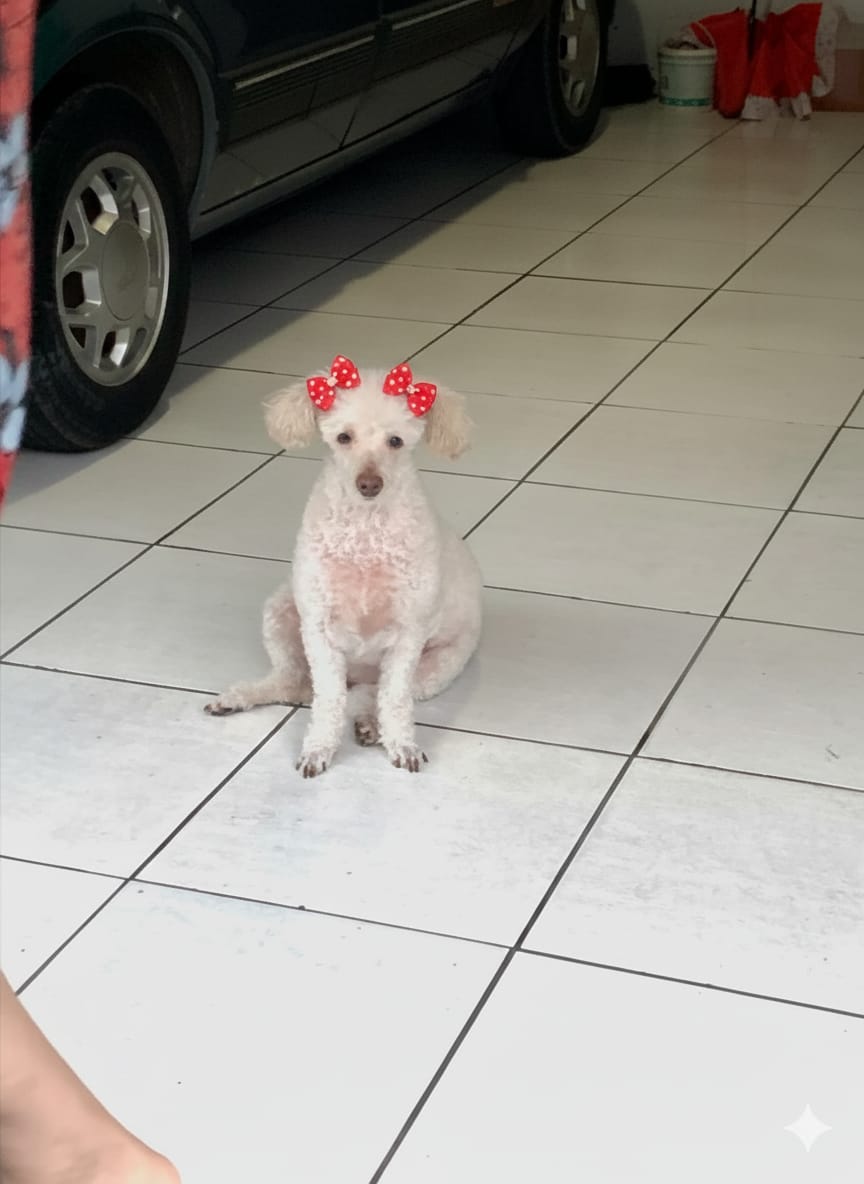 Rifa do(a) /Uploads/Usuarios/Rifas/2025/December/452ed97c-25d9-f011-a9c2-ea93c57523d2/3886_IMG20251214WA0220.jpg