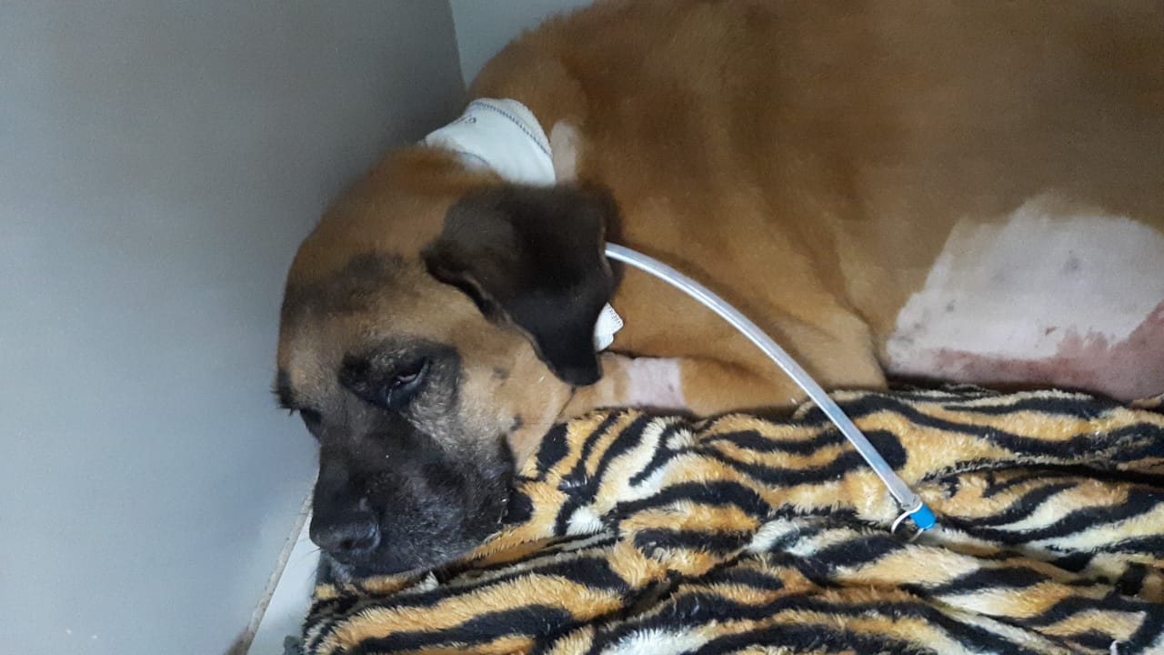 Rifa do(a) /Uploads/Usuarios/Rifas/2025/December/a52329fe-0fd6-f011-a9c2-ea93c57523d2/2413_Ragnar.jpg