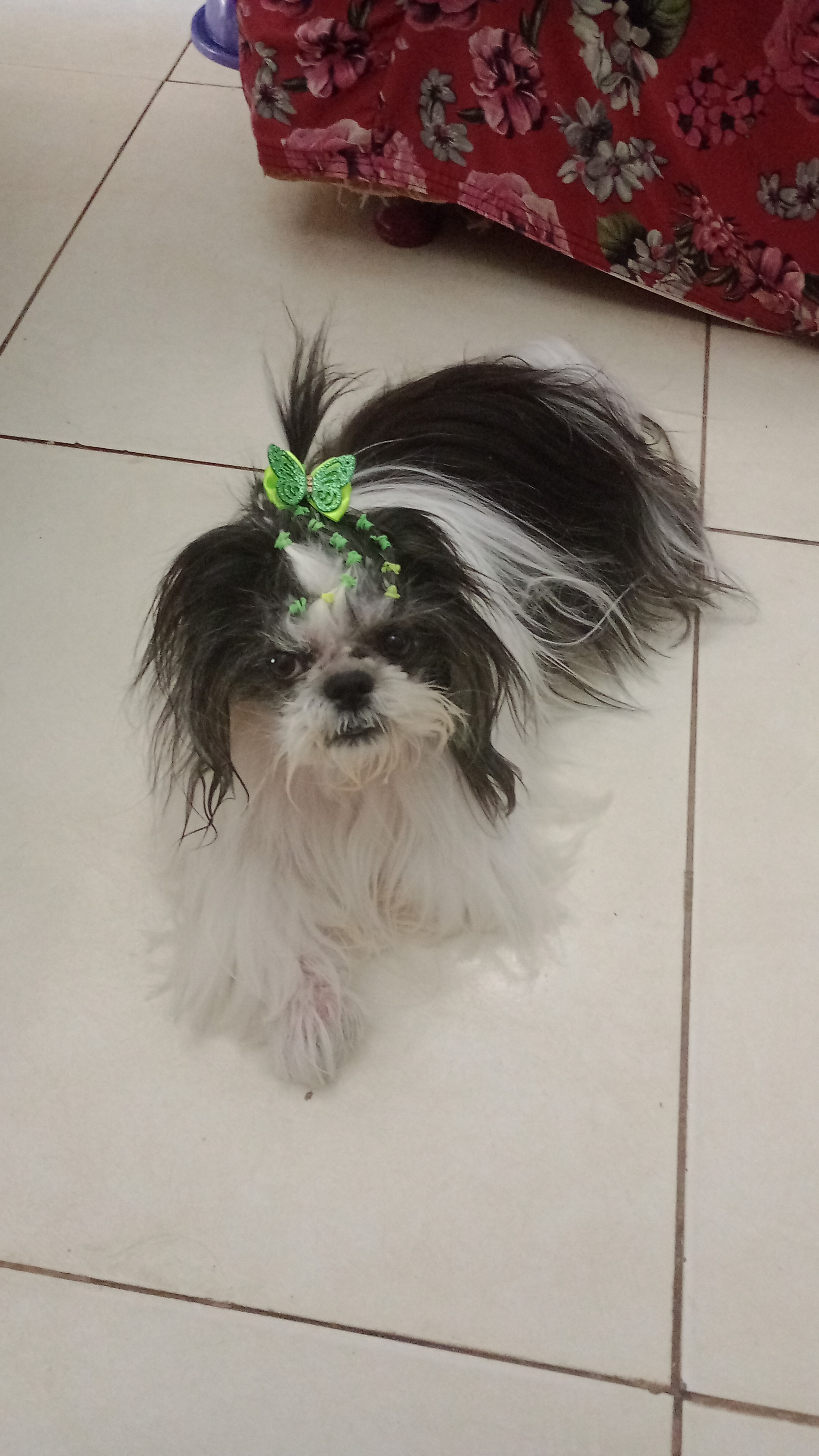 Rifa do(a) /Uploads/Usuarios/Rifas/2025/July/0b700a3e-0759-f011-a9be-9fee40ed0bfe/6652_IMG20250703WA0080.jpeg