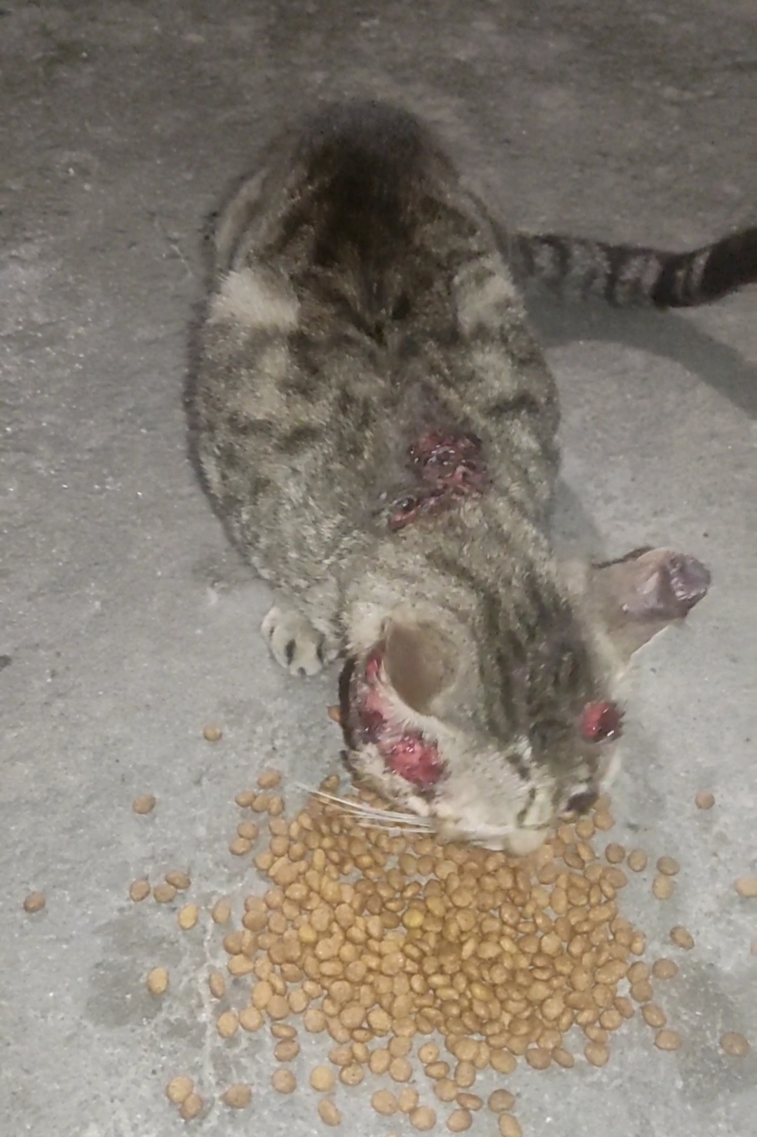 Rifa do(a) /Uploads/Usuarios/Rifas/2025/November/6386fc7f-1fcb-f011-a9c2-ea93c57523d2/7118_IMG_20251126_202357.jpg