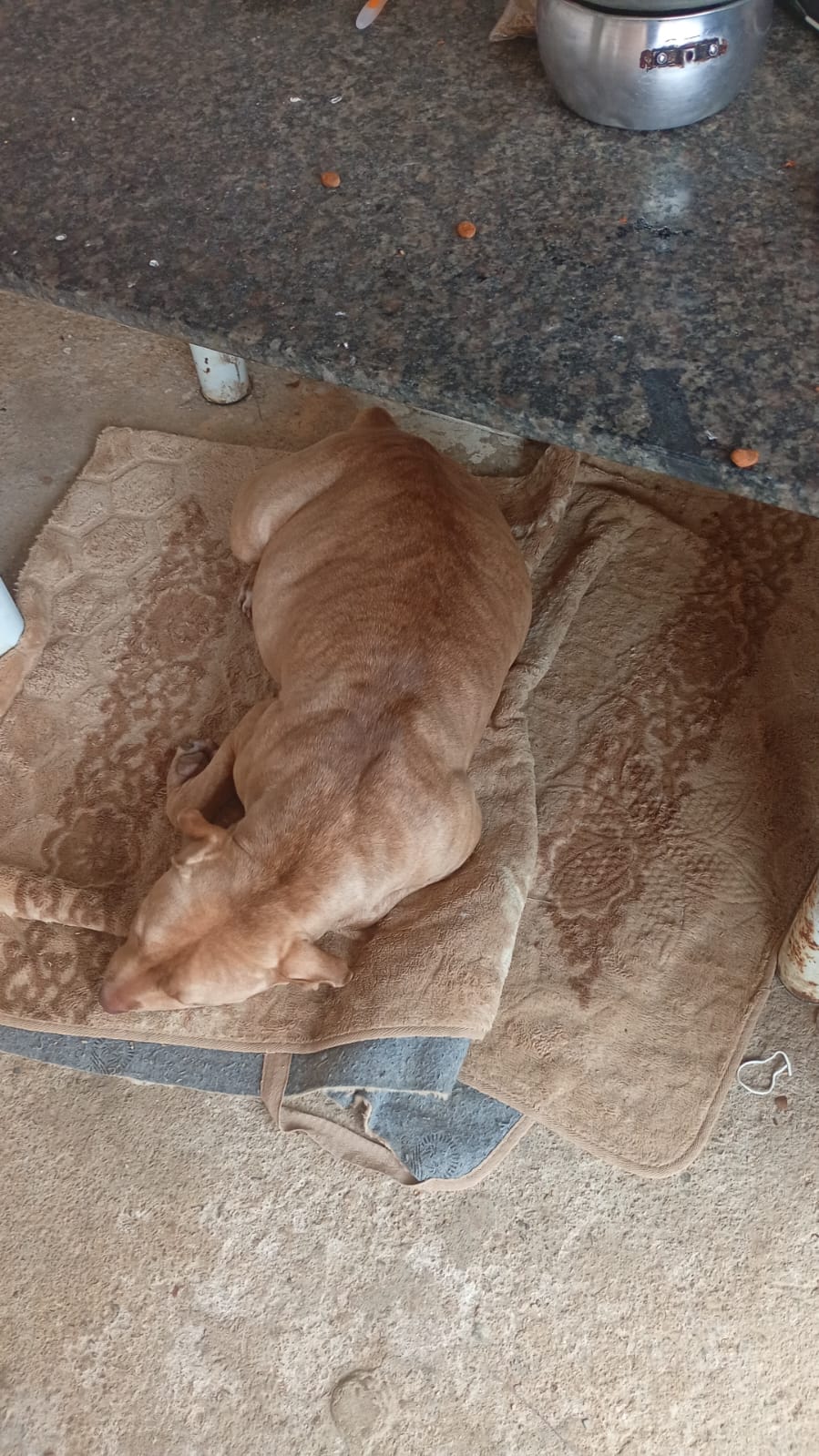 Rifa do(a) /Uploads/Usuarios/Rifas/2025/September/2d83d3ee-4c9d-f011-a9c1-8abb621f0d6d/5118_IMG20250926WA0016.jpg