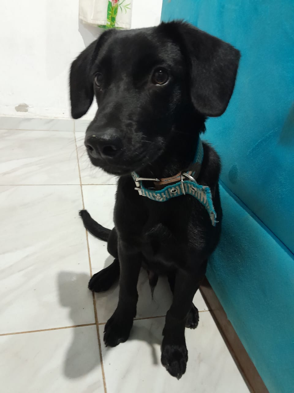 Rifa do(a) /Uploads/Usuarios/Rifas/2026/January/eb872d9c-27f3-f011-a9c2-ea93c57523d2/8000_IMG20230806WA0003.jpg